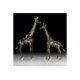 Пара жирафов V1581